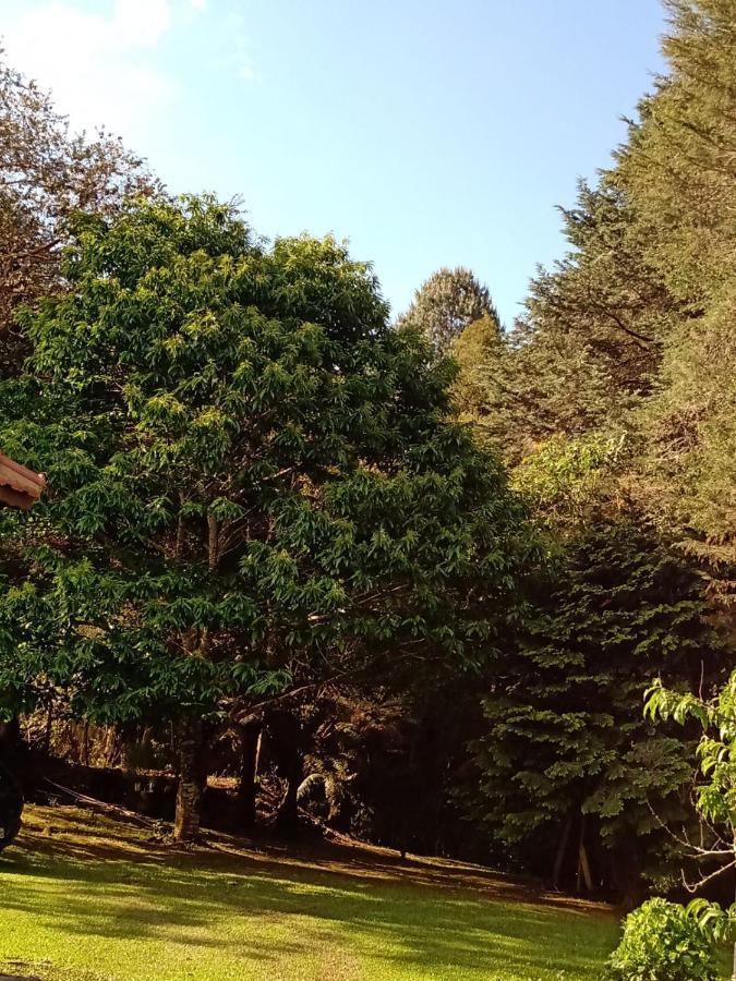 Chale Aroma Da Serra Monte Verde  Eksteriør bilde